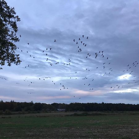 Vakantiehuis Appelvink, Toplocatie In Bosrijke Omgeving Oisterwijk Exteriör bild