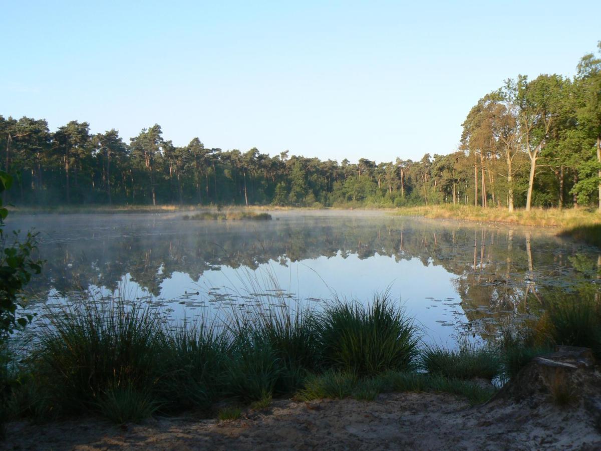 Vakantiehuis Appelvink, Toplocatie In Bosrijke Omgeving Oisterwijk Exteriör bild