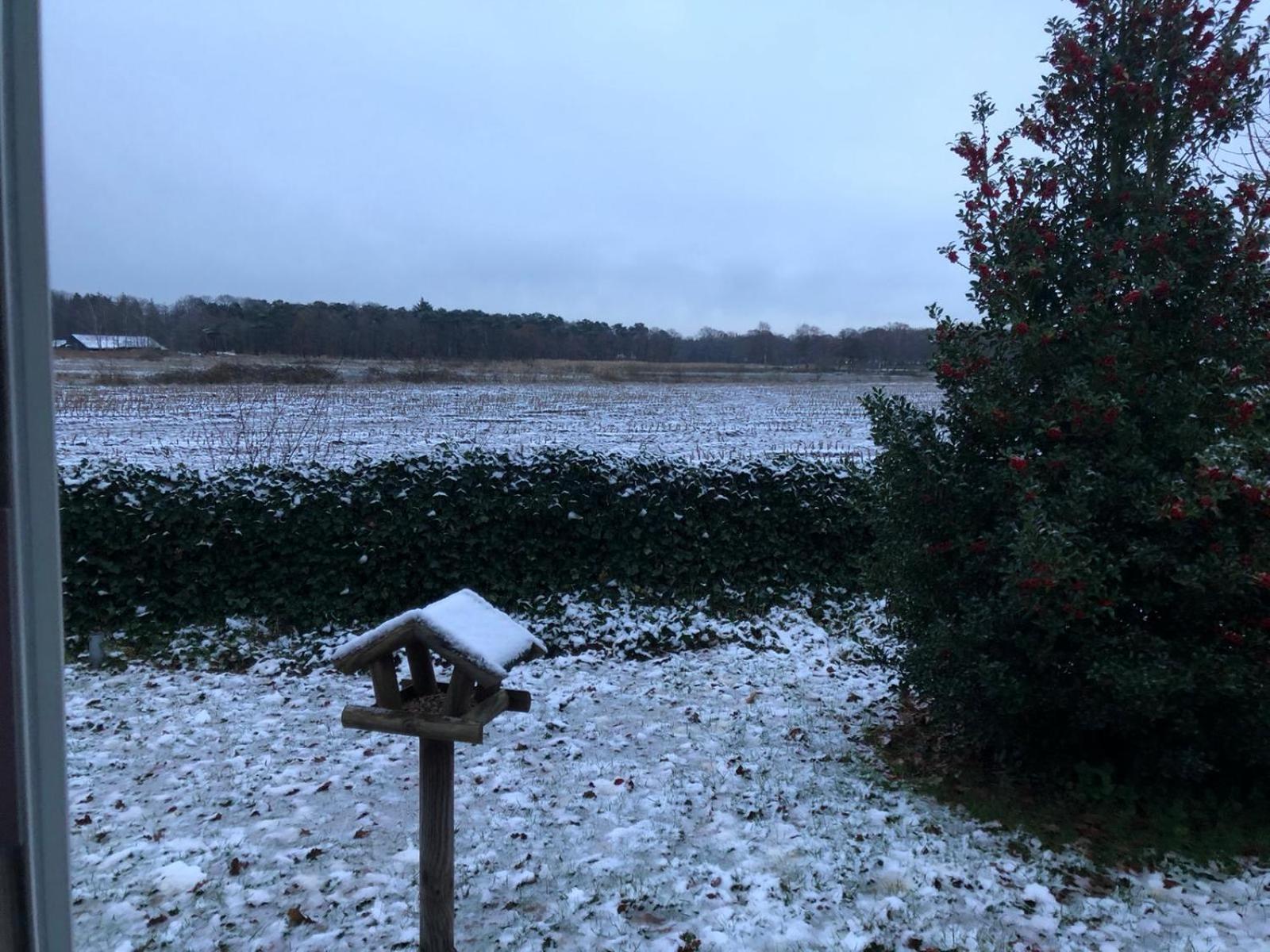 Vakantiehuis Appelvink, Toplocatie In Bosrijke Omgeving Oisterwijk Exteriör bild